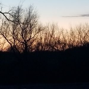 Meet your Posher, Alli